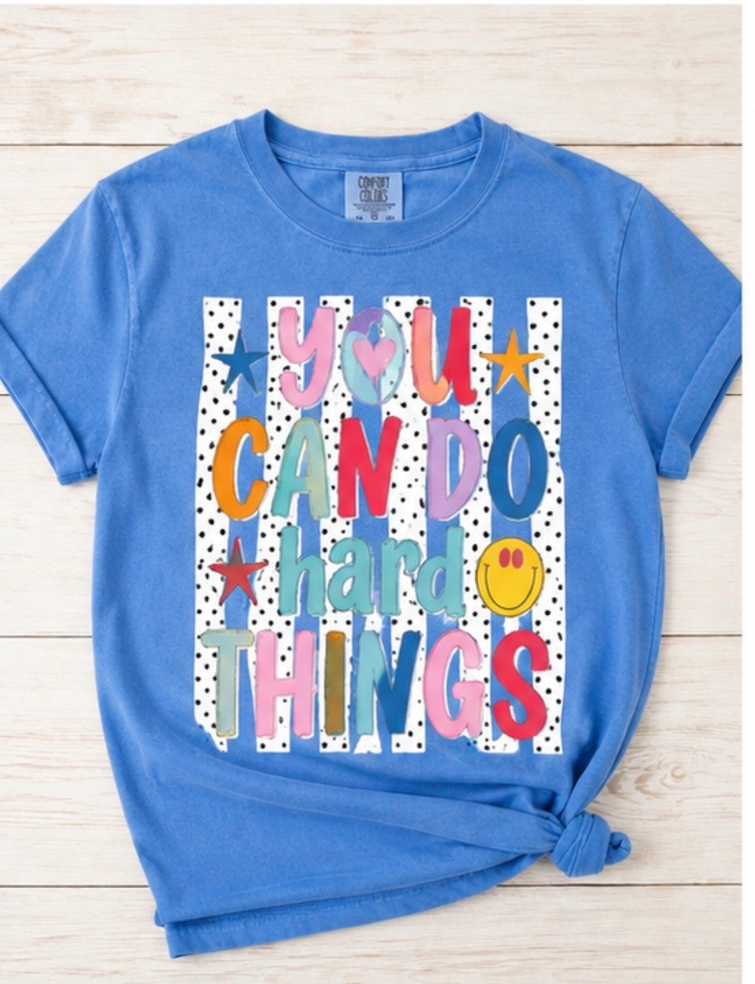 You Can Do Hard Things - T'Shirt