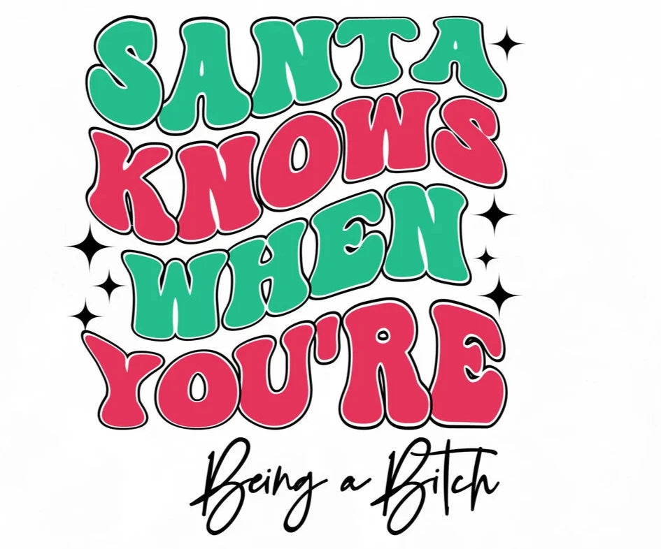 Santa Knows T'Shirt