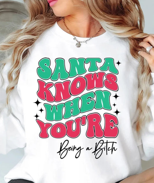 Santa Knows T'Shirt